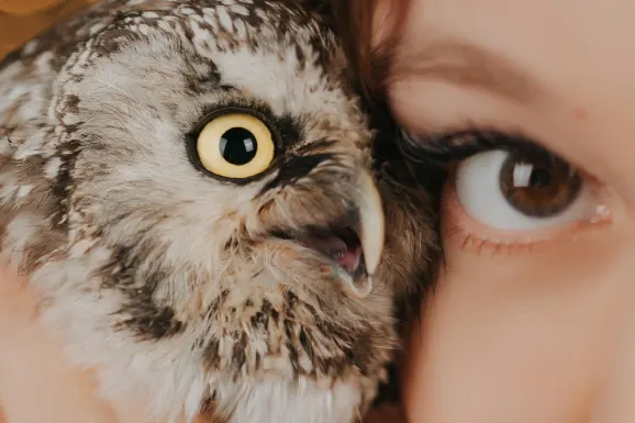 Betitall Kaszinó Támogatás